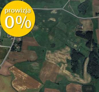 Dwie działki koło Borów Tucholskich