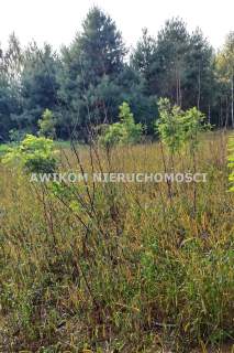 Działka budowlana na sprzedaż, 11350 m2, Makówka