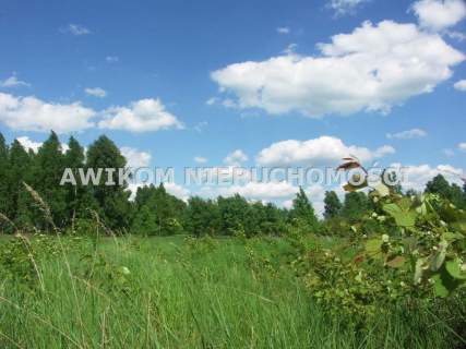 Działka rolna na sprzedaż, 10300 m2, Borowiny