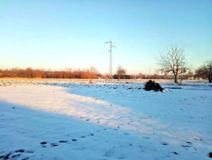 DZIAŁKA POD ZABUDOWĘ ZAGRODOWĄ W PRZYSIEKACH O POW. 12,5 ARA