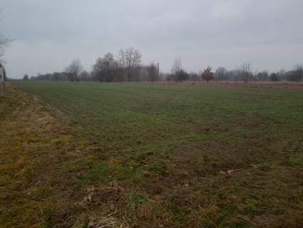 działka budowlana lubartów/wincentów