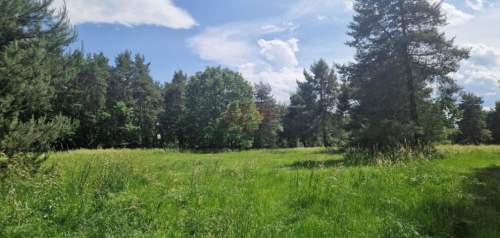 Zębice, gm. Siechnice, 40 085 m2, budowlana MN, przy lesie