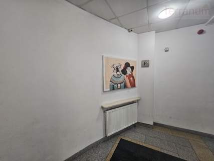 Dwupokojowe z ogródkiem tuz przy Rondzie