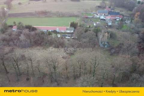 Działka budowlana na sprzedaż, 3826 m2, Dzietrzychowice