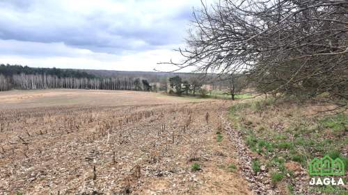 Kołaczkowo Skórzewo 1158m2 jeziora las woda