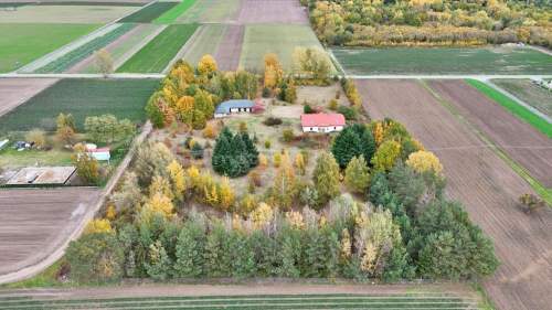 Wyjątkowa nieruchomość - spokój, cisza, przestrzeń