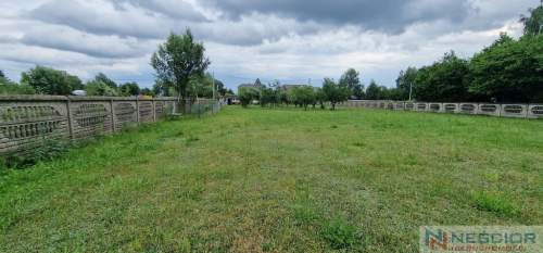 Duża działka usługowa 6000m2 w Grezów 