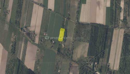 Na sprzedaż działka 3700 m2 w spokojnej okolicy.