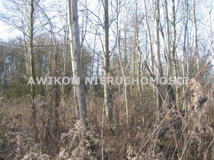 Działka budowlana na sprzedaż, 5830 m2, Milanówek