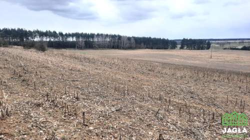 Kołaczkowo Skórzewo 1019m2 jeziora las woda
