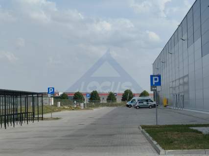 Błonie 4000m2