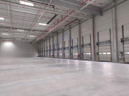Błonie 4000m2