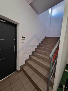 Do wynajęcia 478 m2 Bemowo Jelonki