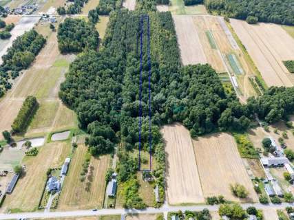 Działki budowlane z lasem - Kochanów