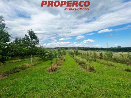 Działka 13100m2, Radkowice gm. Chęciny