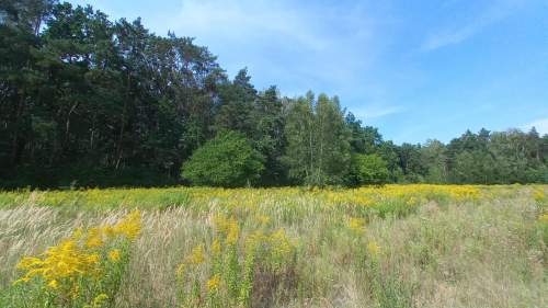 Unikat/Kampinos/glamping/budowlana/metro22km/CPK20km-Bezpośr