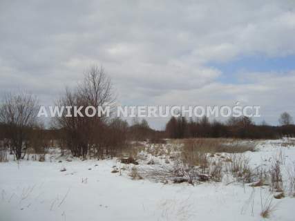 Działka rolna na sprzedaż, 41500 m2, Kaleń-Towarzystwo