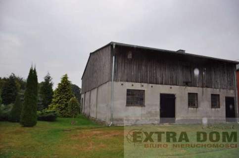 1,5 ha w Łobzie 