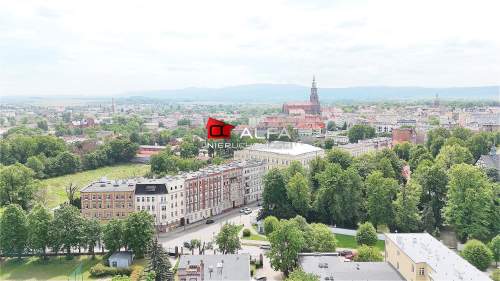 Przestronny lokal do wynajęcia 