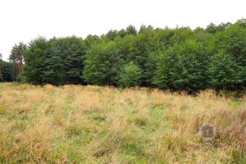 Działki otoczone lasem, powierzchnie od 1543 m2
