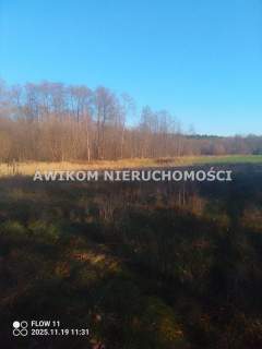 Działka siedliskowa na sprzedaż, 3000 m2, Marysin