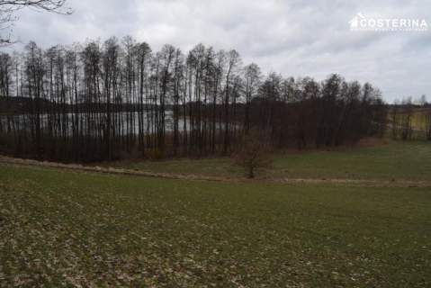 Działka z dostępem do Jeziora Polaszkowskiego 5000 m2 natury...