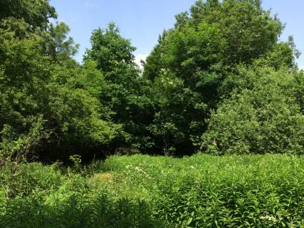 Białowieża, ulica Pałacowa, 2.800 m2