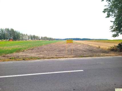 Działka budowlano - rolna w Rolach k. Łuków