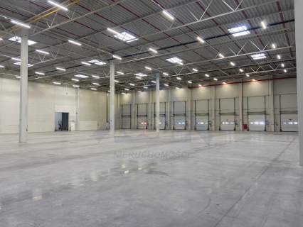 Magazyn wysokiego składowania 4000 m2 Ołtarzew