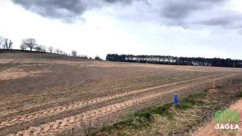 Kołaczkowo Skórzewo 1019m2 jeziora las woda