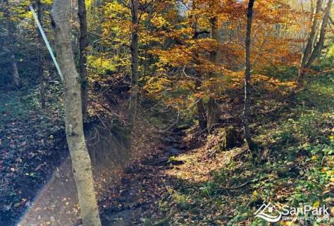 Działka Krzywe - przestrzeń i natura Bieszczad