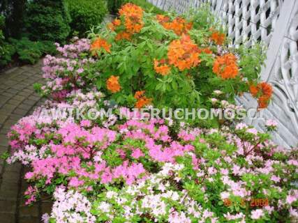 Dom na sprzedaż, 444 m2, Michałowice