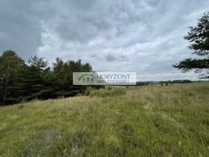 Nowa Wieś Przywidzka- dz. z panoramicznym widokiem