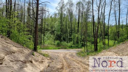 Działka z linią brzegową 66 m jeziora Dąbiel