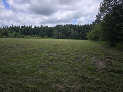Działka budowlana na sprzedaż, 7250 m2, Dąbrowa Górnicza