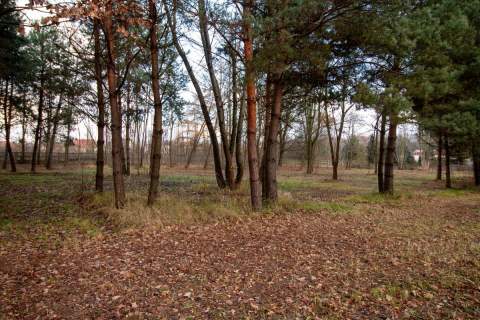 Działka budowlana Koszęcin ul. Słowików 880m2