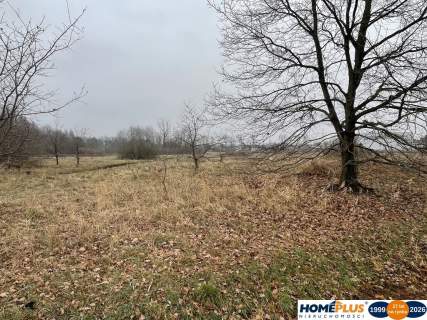 Działka 5979 m usługi i zabudowa jednorodzinna