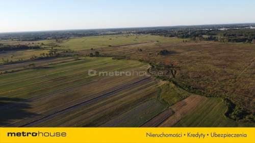 OKAZJA Działka 4000 m2 pod Radzyminem tylko 65ooo