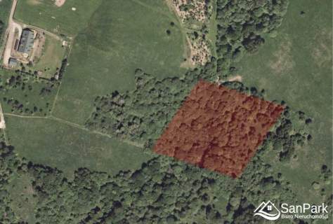 Działka Krzywe - przestrzeń i natura Bieszczad
