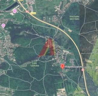 Park Bielański , działka około 30 arów
