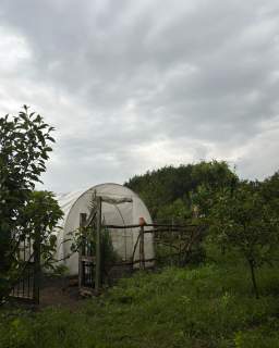 Marszewo 3029 m działka budowlana z lasem i sadem