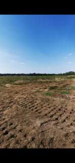 Miłogostowice działka inwestycyjną o powierzchni 19,64 Ha