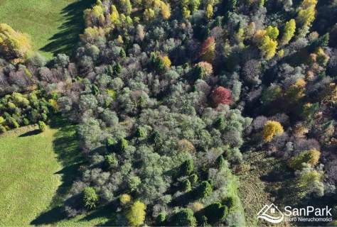 Działka Krzywe - przestrzeń i natura Bieszczad
