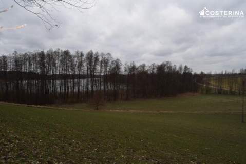 Działka z dostępem do Jeziora Polaszkowskiego 5000 m2 natury...