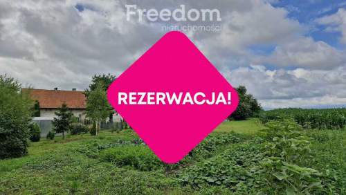 Działka 5 710 m przestrzeń i natura
