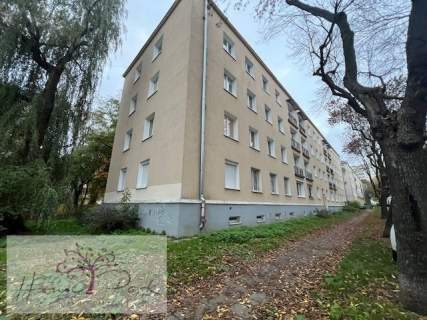 Ciekawe mieszkanie 1/2 pokoje Łódź Górna
