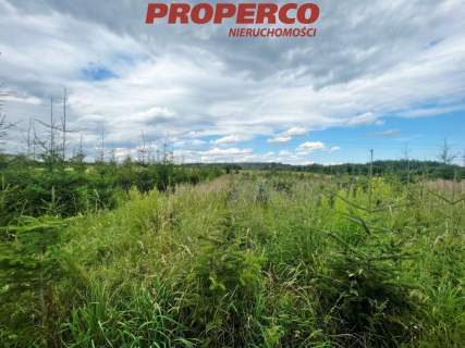 Działka 13100m2, Radkowice gm. Chęciny
