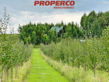 Działka 13100m2, Radkowice gm. Chęciny