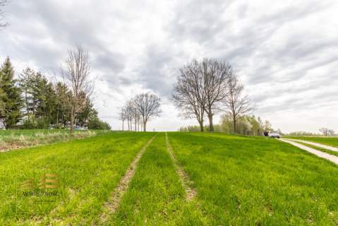 Działka rolna o pow. 3900m2 w Płouszowicach
