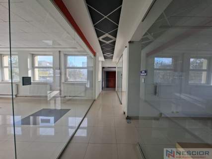Lokal użytkowy 296,55 m   ul. Chrobrego 17